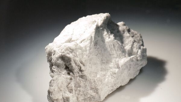 The Genesis Rock, a 4.4 billion-year-old anorthosite sample approximately 2 inches in length, brought back by Apollo 15 and used to determine the moon was formed by a giant impact, is lit inside a pressurized nitrogen-filled examination case in the lunar lab at the NASA Johnson Space Center Monday, June 17, 2019, in Houston - Sputnik International