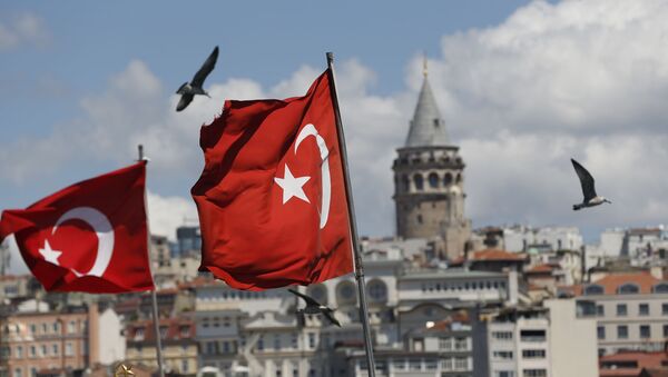 Turkish flags in Istanbul - Sputnik International