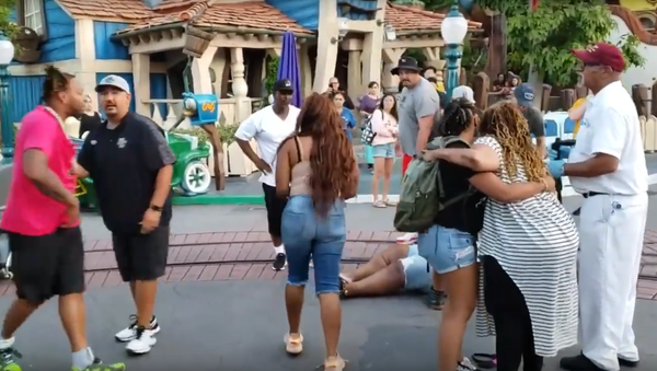 ‘Hold My Daughter!’: Family Fistfight Breaks Out in ‘Happiest Place on Earth - Sputnik International