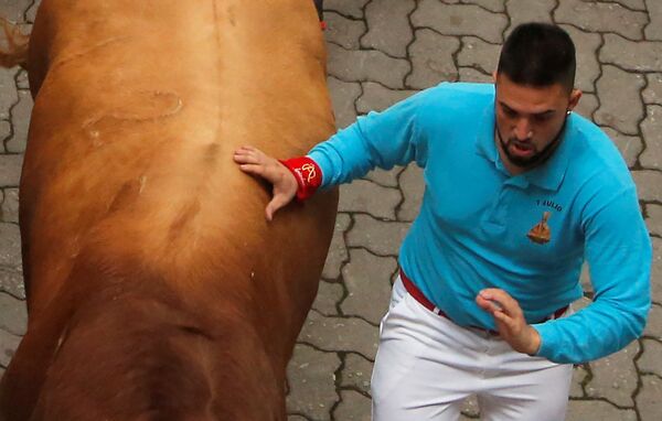 Участник фестиваля Сан-Ферми дотрагивается до быка в Памплоне, Испания - Sputnik International