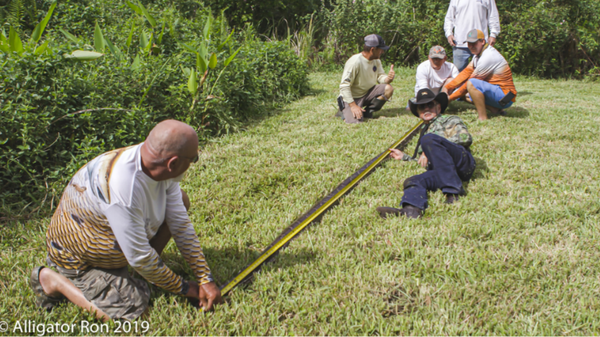 Massive 16-Foot Burmese Python, Dozens of Eggs Found Under US Home (Photos, Video) Massive 16-Foot Burmese Python, Dozens of Eggs Found Under US Home (Photos, Video) - Sputnik International