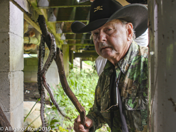 Massive 16-Foot Burmese Python, Dozens of Eggs Found Under US Home (Photos, Video) Massive 16-Foot Burmese Python, Dozens of Eggs Found Under US Home (Photos, Video) - Sputnik International