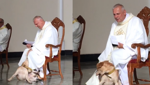 Playful Pooch Welcomed With Open Arms During Mass in Brazil - Sputnik International