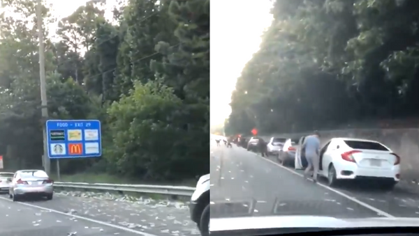 Commuters Scramble on Georgia Interstate After Armored Car Loses Nearly $200K - Sputnik International