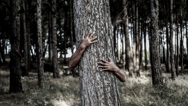 Man hiding behind a tree - Sputnik International