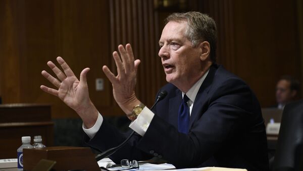 United States Trade Representative Robert Lighthizer testifies before the Senate Finance Committee on Capitol Hill in Washington, Tuesday, June 18, 2019 - Sputnik International
