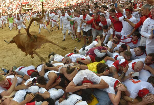A heifer jumps over revellers in the bullring after the second bullrun the San Fermin festival in Pamplona, northern Spain on July 8, 2019.  - Sputnik International