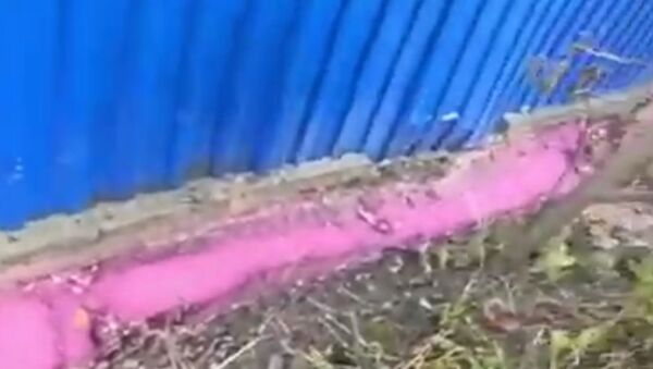 Russian netizens catch small pink river on video in Stavropol region - Sputnik International