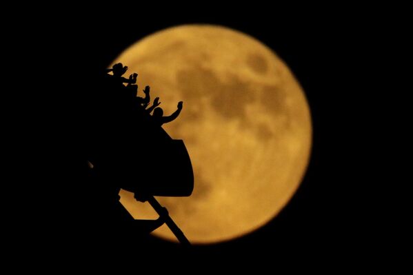 Silhouettes of roller coaster riders at the Worlds of Fun amusement park in Kansas City on the 50th anniversary of the Apollo 11 moon launch,  16 July 2019. - Sputnik International