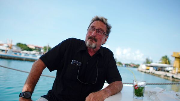 John McAfee, co-founder of McAfee Crypto Team and CEO of Luxcore and founder of McAfee Antivirus, speaks during an interview in Havana, Cuba, July 4, 2019. Picture taken July 4, 2019. - Sputnik International