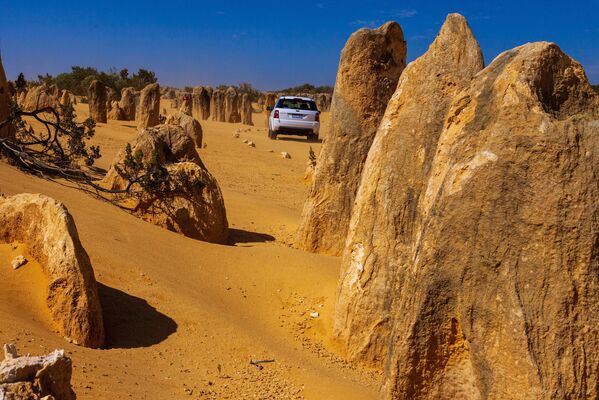 The Pinnacles limestone formation in Australia. - Sputnik International
