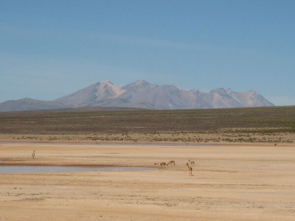 The Altiplano plateau in the Andes. - Sputnik International
