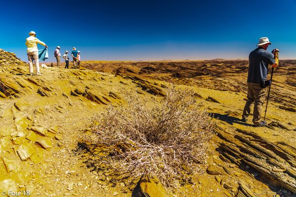 The Eastern Carpcliff area in Namibia. - Sputnik International