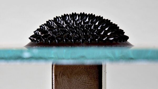 Ferrofluid on a reflective glass plate under the influence of a strong magnetic field. - Sputnik International