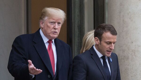 US President Donald Trump (left) and French President Emmanuel Macron  - Sputnik International