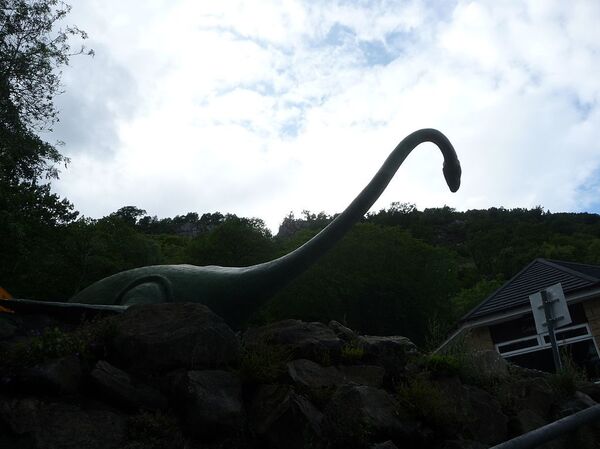 Eerie Creature ‘Size of a Large Seal' Reported Lurking in Loch Ness, Fuels 'Monster' Rumours - Sputnik International