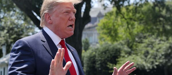 U.S. President Donald Trump speaks to the news media after returning from a quick trip to Williamsburg, Virginia, in Washington, U.S., July 30, 2019 U.S. President Donald Trump speaks to the news media after returning from a quick trip to Williamsburg, Virginia, in Washington, U.S., July 30, 2019 - Sputnik International