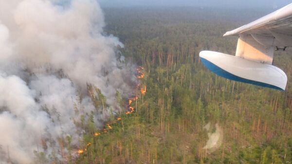 This handout picture taken on July 30, 2019 from onboard a Be-200 firefighting aircraft and provided by the press-service of Russia's Krasnoyarsk Krai's forestry ministry shows a forest fire in the Boguchansky district - Sputnik International