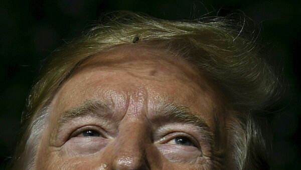 A fly rests on US President Donald Trump's hair as he speaks during an event commemorating the 400th Anniversary of the First Representative Legislative Assembly in Jamestown, Virginia on July 30, 2019.  - Sputnik International