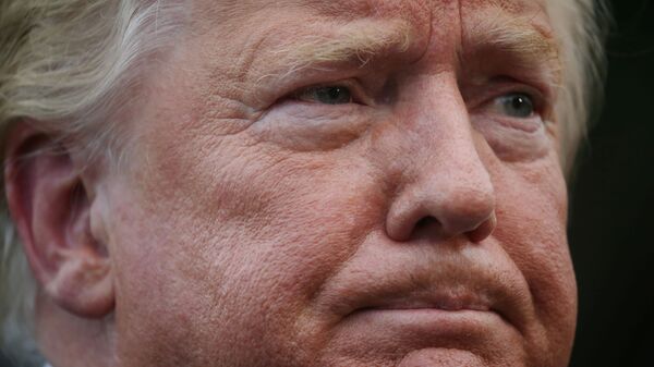 US President Donald Trump talks to reporters as he departs for travel to Greenville, North Carolina - Sputnik International