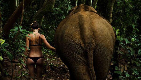 Woman and elephant - Sputnik International