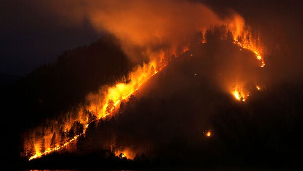 Wildfire in Taiga district, near Russia's Siberian city of Krasnoyarsk - Sputnik International