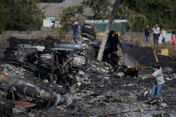 German Detective Can Offer Russia, Malaysia Findings of His Own MH17 Crash Probe German Detective Can Offer Russia, Malaysia Findings of His Own MH17 Crash Probe - Sputnik International