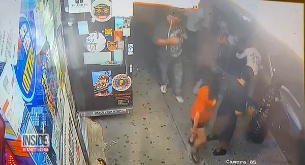 French Bulldog Survives 6-Story Fall After Crashing Through Car’s Sunroof (Photos) - Sputnik International