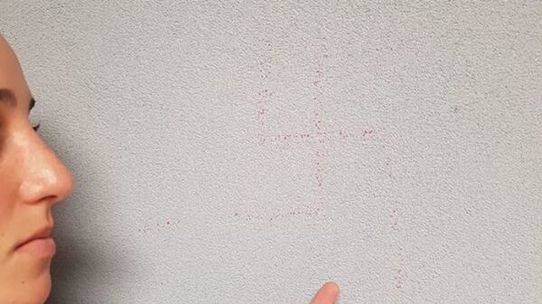 ‘Disgusted, Hurt’: Jewish-Israeli Students Find Swastikas Scrawled on Dorm Wall (Photo) ‘Disgusted, Hurt’: Jewish-Israeli Students Find Swastikas Scrawled on Dorm Wall (Photo) - Sputnik International