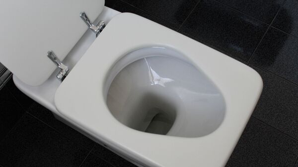 Toilet - Sputnik International