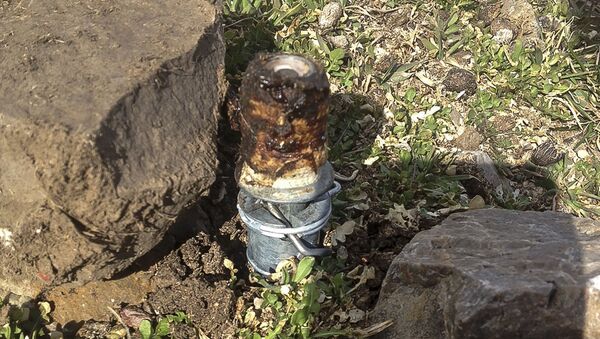 This March 16, 2017, file photo released by the Bannock County Sheriff's Office shows a cyanide device in Pocatello, Idaho, The cyanide device, called M-44, is spring-activated and shoots poison that is meant to kill predators. The U.S. Environmental Protection Agency has taken an initial step to reauthorize a predator-killing poison that injured a boy in eastern Idaho and killed his dog. The federal agency on Tuesday, Aug. 6, 2019, announced an interim decision involving sodium cyanide that's used in M-44s. - Sputnik International