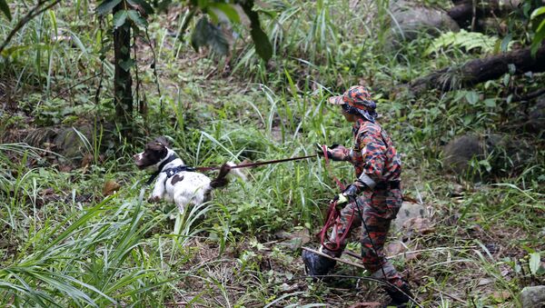 Malaysian police officer with a sniffer dog searching for Nora Quoirin - Sputnik International