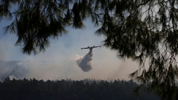 A firefighting plane makes a water drop as a wildfire burns near the village of Stavros on the island of Evia, Greece - Sputnik International