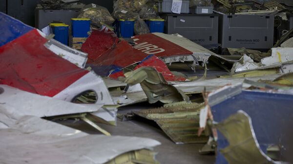 In this March 3, 2015 file photo parts of the wreckage of the Malaysia Airlines Flight 17 are displayed in a hangar at Gilze-Rijen airbase, Netherlands. - Sputnik International