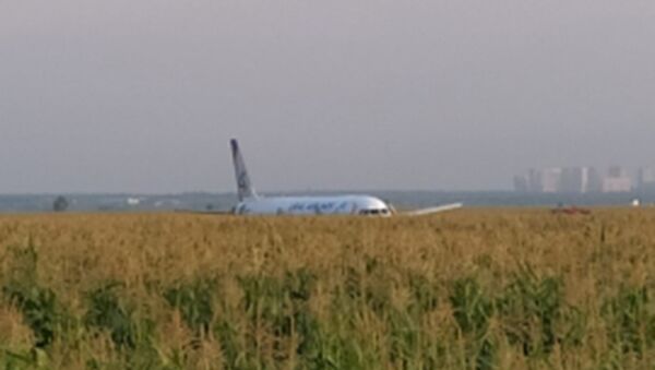 Ural Airlines flight U6178 from Moscow to Simferopol made an emergency landing in corn field - Sputnik International