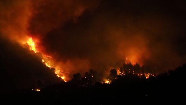 A fire fanned by a strong wind devours vegetation near the village of Monze, in the Aude department, southern France on August 15, 2019.  - Sputnik International