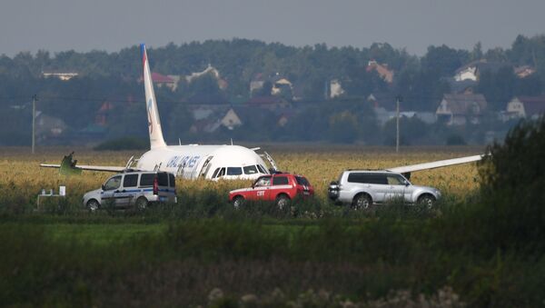 Russia A321 Plane Accident - Sputnik International