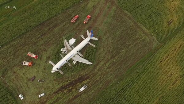 A321 emergency landing in the Moscow region - Sputnik International