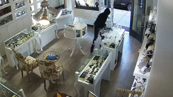 Owner of US Jewelry Store Fights Off Thieves - Sputnik International