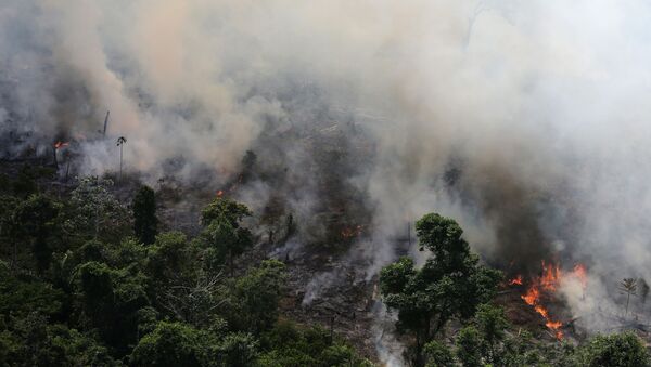 An aerial view of a tract of Amazon jungle burning as it is being cleared by loggers and farmers near the city of Novo Progresso, Para state, Brazil September 23, 2013. Picture taken September 23, 2013.   - Sputnik International