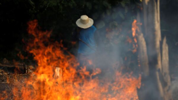 A man works in a burning tract of Amazon jungle as it is being cleared by loggers and farmers in Iranduba, Amazonas state, Brazil August 20, 2019.  - Sputnik International