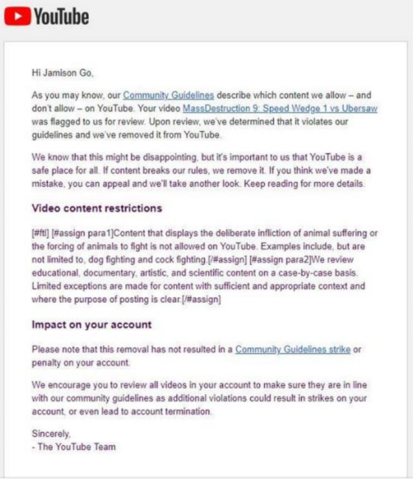 YouTube Bans Fighting Robot Videos Over Claims of Animal Cruelty YouTube Bans Fighting Robot Videos Over Claims of Animal Cruelty - Sputnik International
