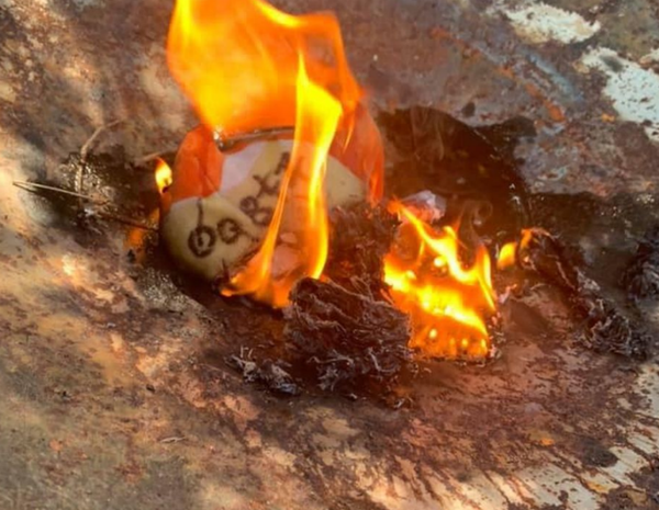 US Woman Sets Pennywise Clown Ablaze After Doll Lands in Backyard (Photo) US Woman Sets Pennywise Clown Ablaze After Doll Lands in Backyard (Photo) - Sputnik International