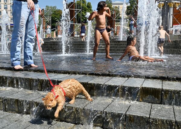 A woman refreshes her cat in a fountain at the Independence Square in Kiev during a heatwave in the Ukrainian capital on August 21, 2019.  - Sputnik International