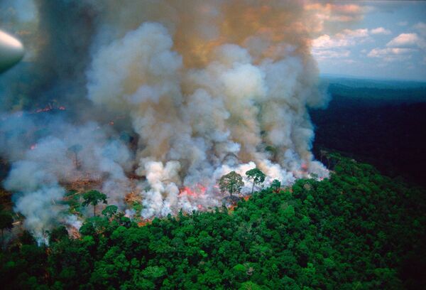 German Gov't Says Opposing EU-Mercosur Free Trade Deal 'Not Appropriate Response' to Amazon Fires - Report German Gov't Says Opposing EU-Mercosur Free Trade Deal 'Not Appropriate Response' to Amazon Fires - Report - Sputnik International