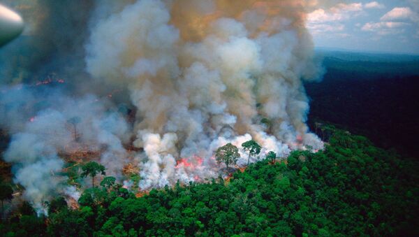 The photo of thick plumes of smoke billowing from fires the Amazon forest, shared by French President Emmanuel Macron, apepars to have been taken by a photographer who died in 2003, which means that the photo is 16 years old at the very least. - Sputnik International