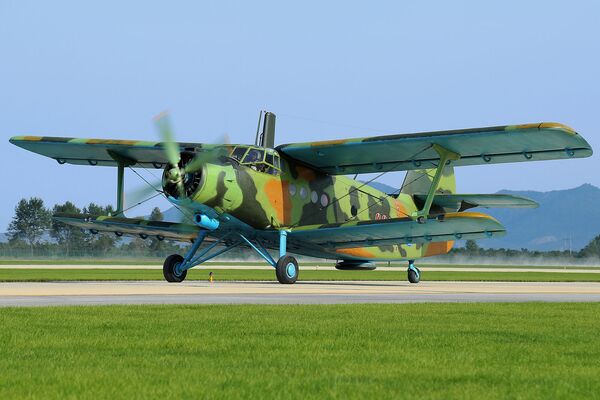 Pyongyang Using Ancient Biplanes to Practice on South Korean F-15 Mockups (Photo) - Sputnik International