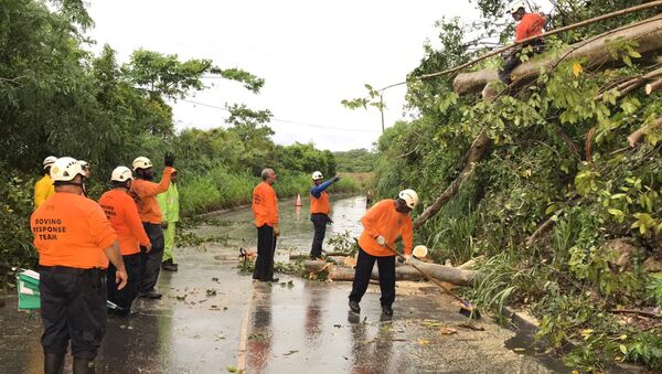 Volunteers remove a tree blocking a road after Tropical Storm Dorian passed overnight in Brighton St. George - Sputnik International
