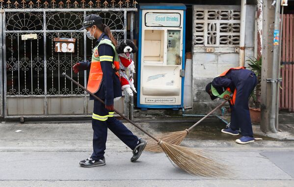 Thitirat Keowa-ram, Bangkok's street sweeper, carries her 1-year old poodle-shih tzu mix breed as she works at a street in Bangkok, Thailand, August 28, 2019. Thitirat Keowa-ram, Bangkok's street sweeper, carries her 1-year old poodle-shih tzu mix breed as she works at a street in Bangkok, Thailand, August 28, 2019. - Sputnik International