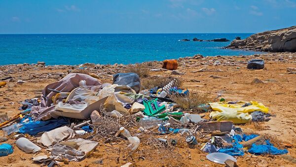 Garbage on beach - Sputnik International